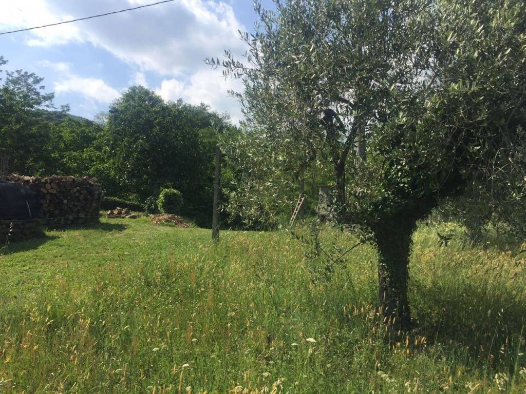 Terreno a Marliana in Via Poggiolo - Foto 3