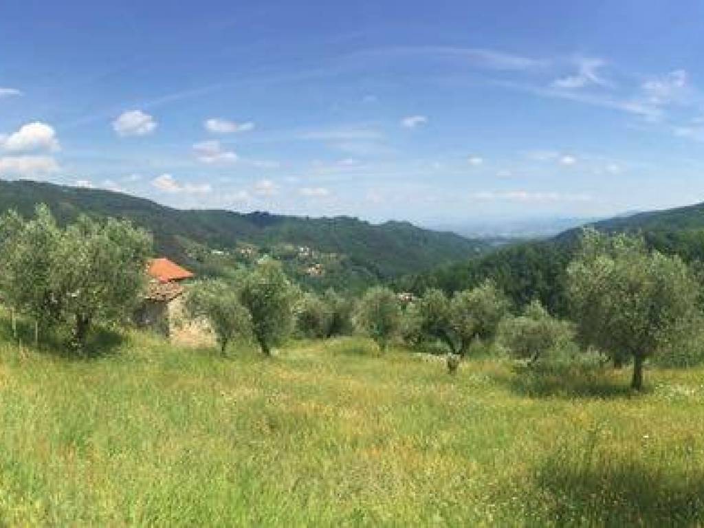 Terreno a Marliana in Via Poggiolo - Foto 5