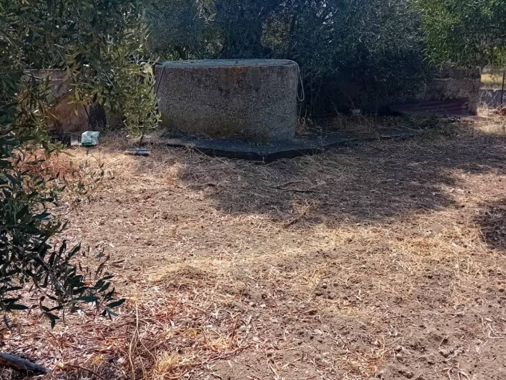 Terreno a Ardore in Stretto Truscera - Foto 5