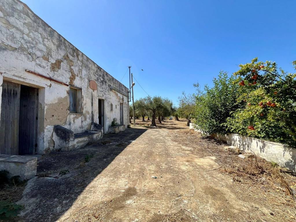 Terreno a Paceco in Strada Castelvetrano, * - Foto 5