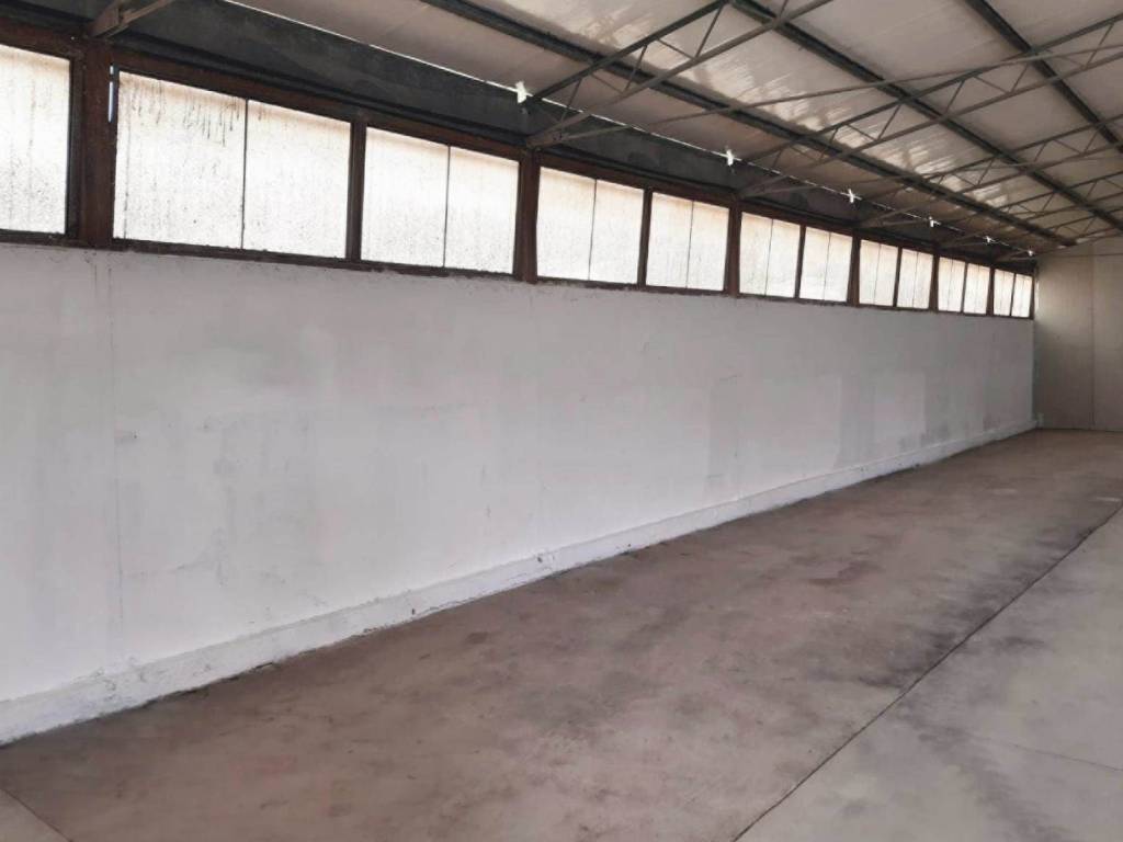 Immobile a Fossacesia in SS524 OVEST, 92 - Foto 4