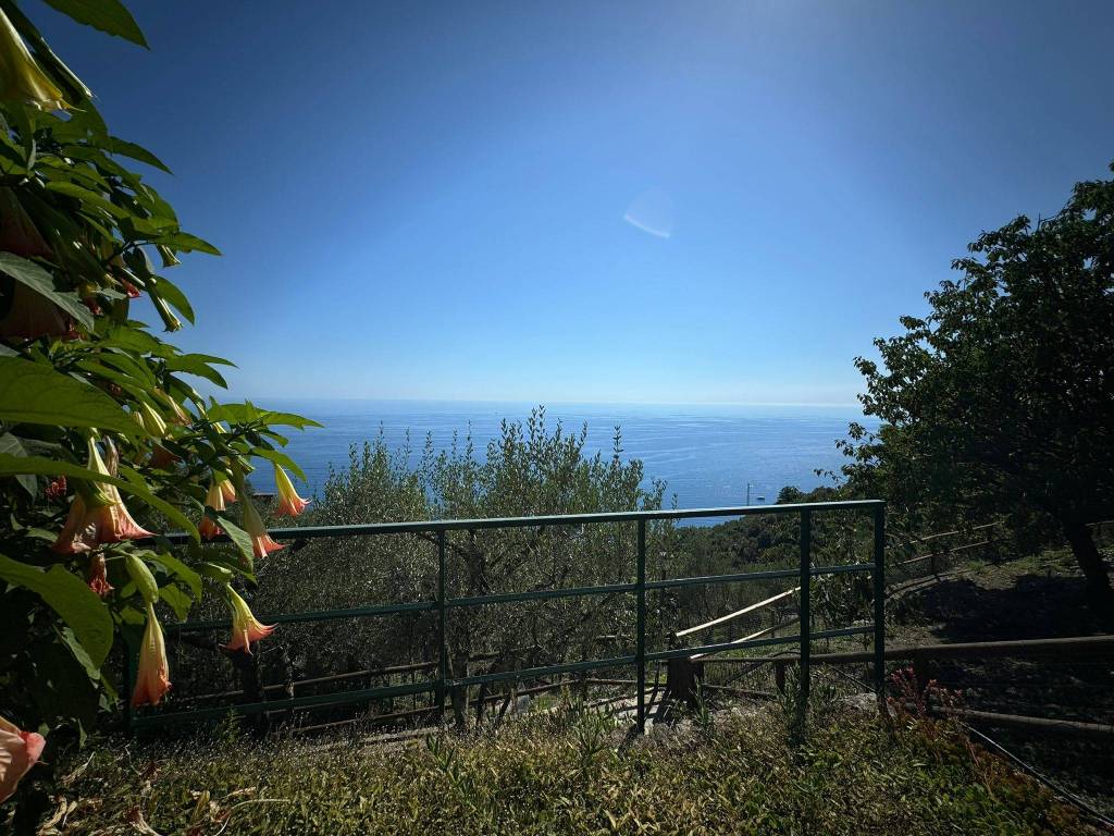 Rustico / casale a Vernazza in SP61 - Foto 4