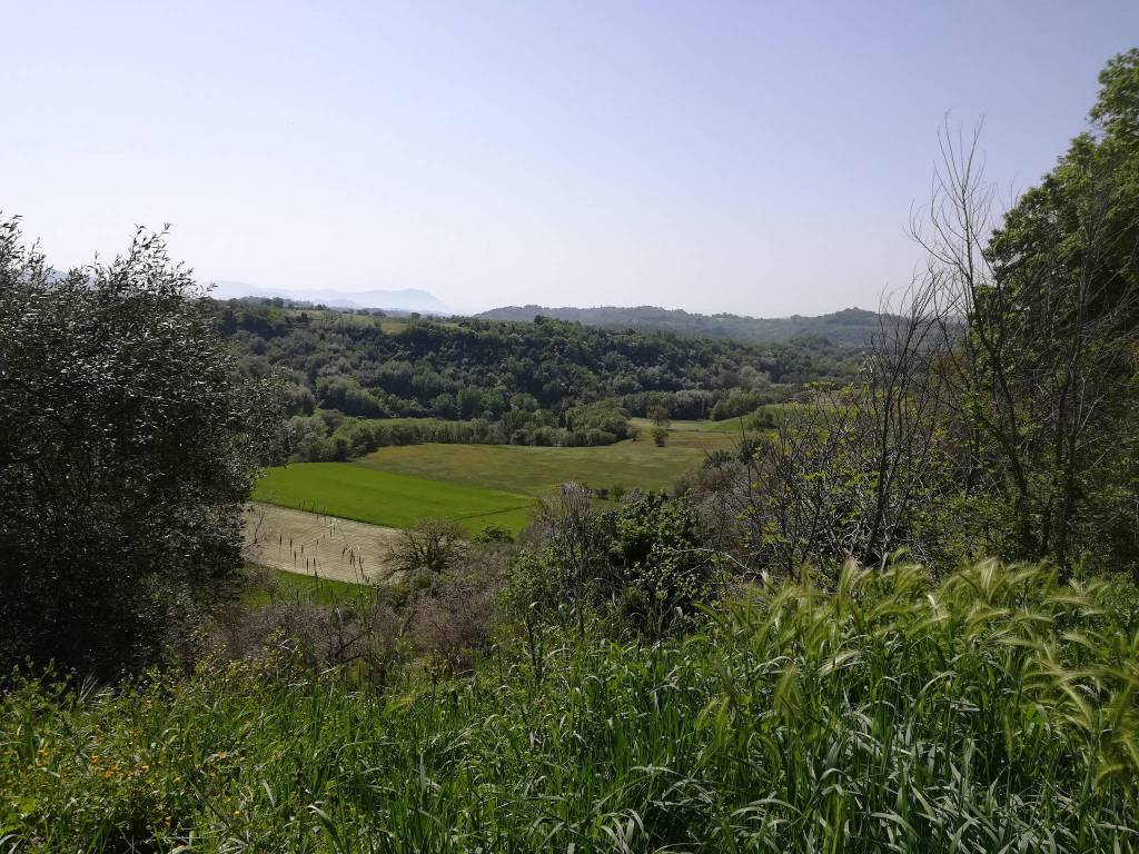 Rustico / casale a Tarano in Villa Brunna - Foto 4