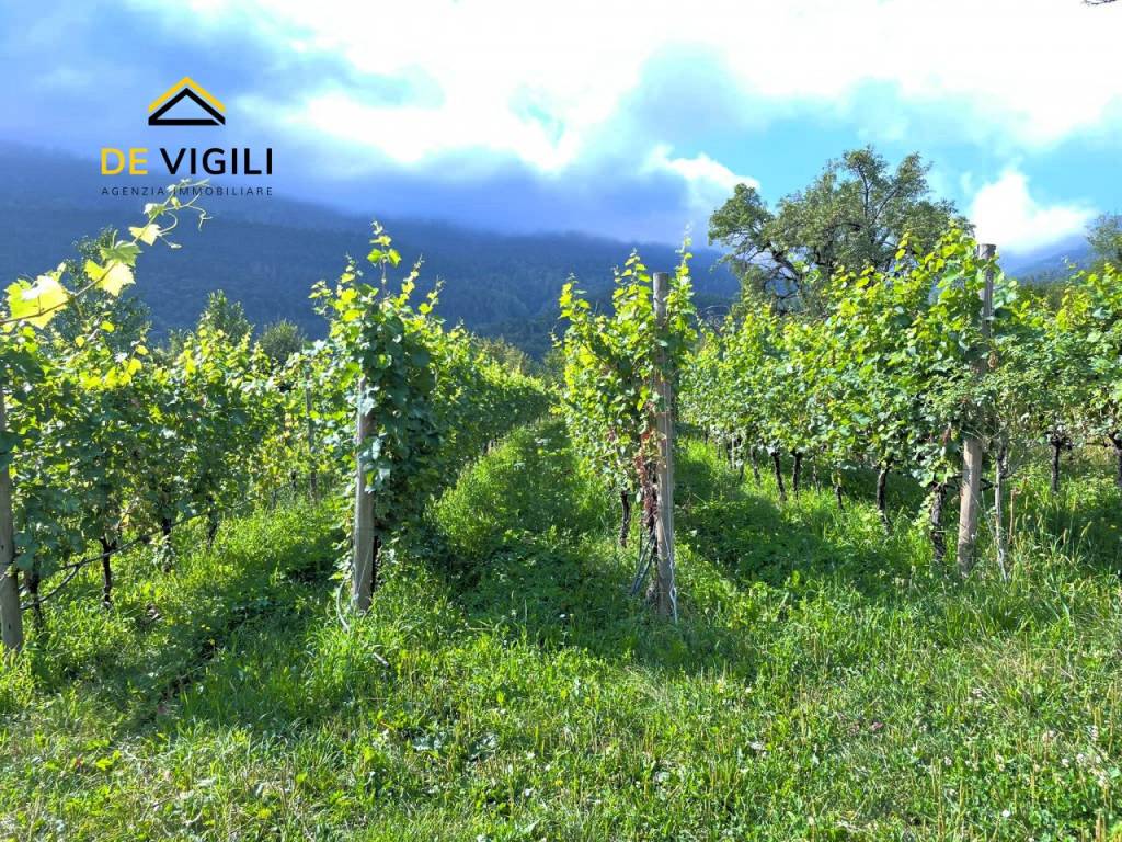 Terreno a Trento - Foto 5