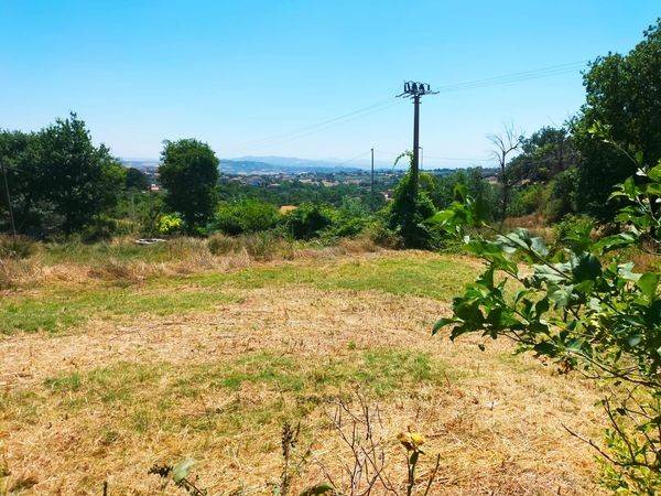 Rustico / casale a Pietrelcina in Contrada Difesa - Foto 3