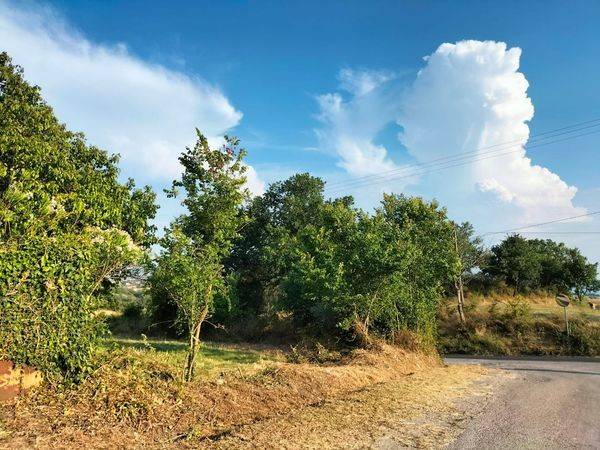 Rustico / casale a Pietrelcina in Contrada Difesa - Foto 5