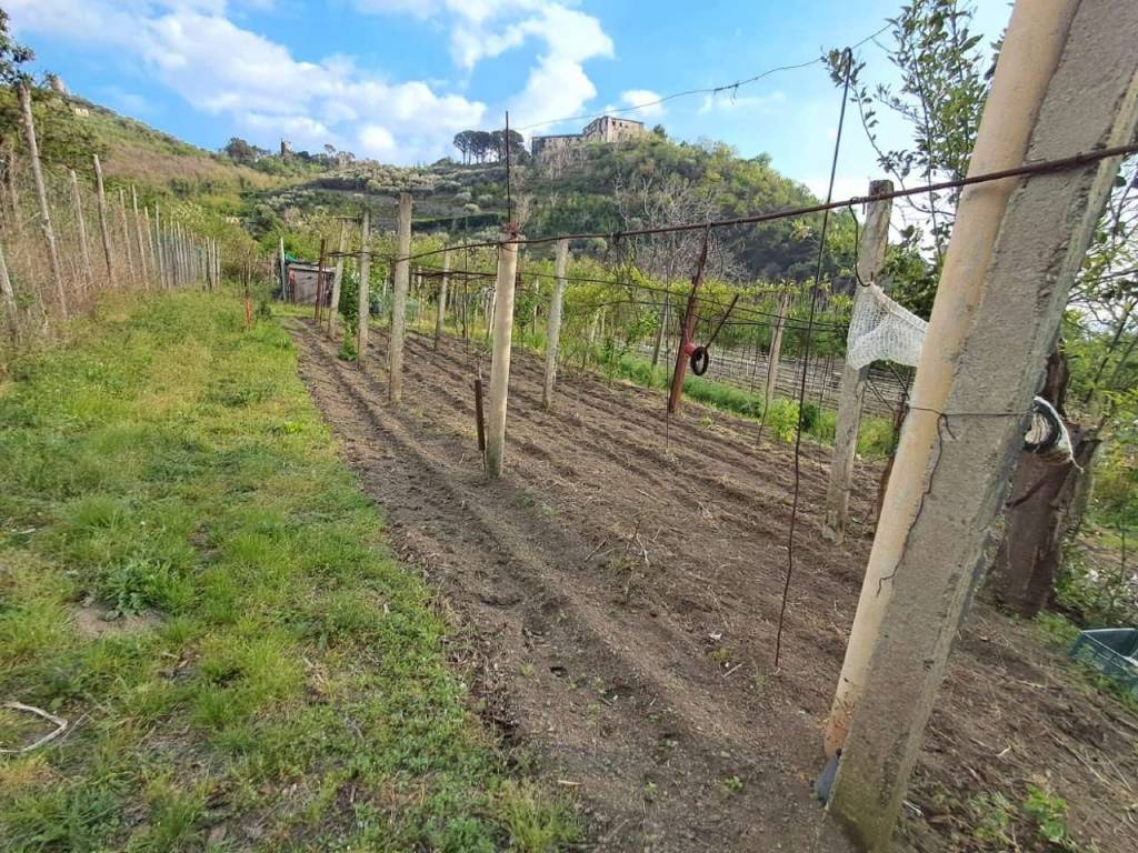 Palazzo / stabile a Sarno in viale Margherita snc - Foto 4