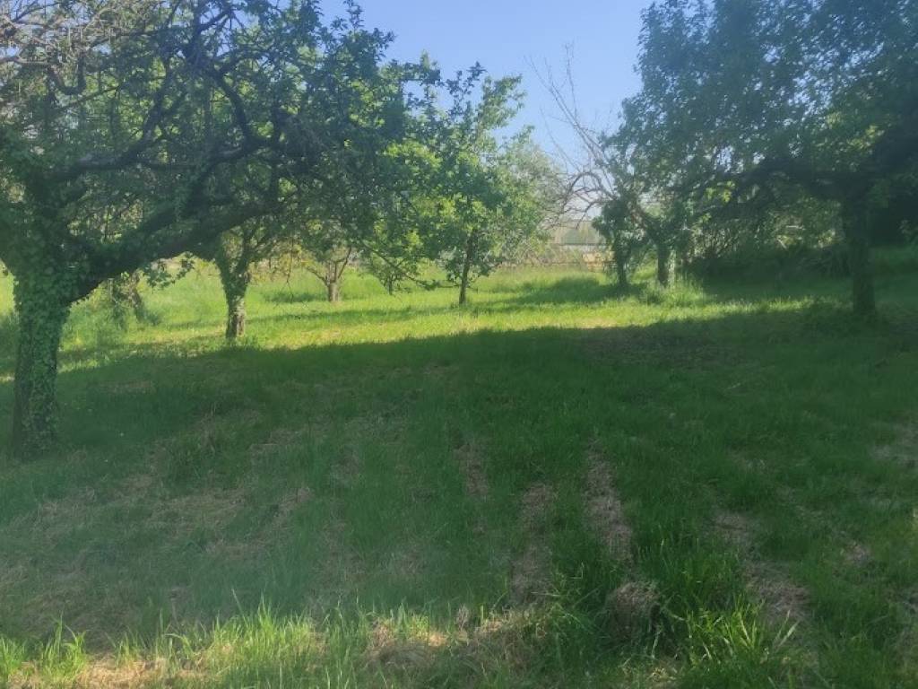 Rustico / casale a Roppolo in Via Pioglio - Foto 4