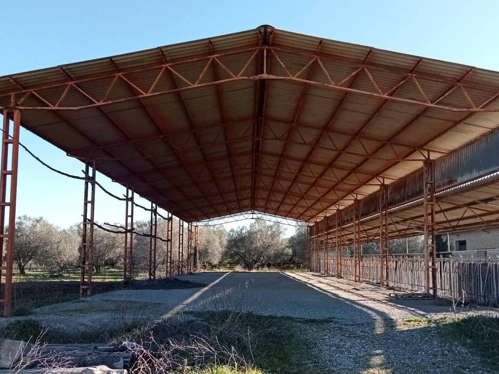 Terreno a Pitigliano in Strada Regionale Maremmana - Foto 3