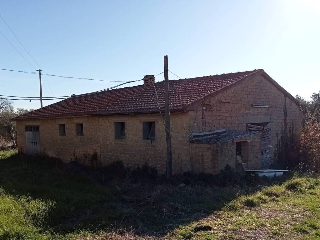 Terreno a Pitigliano in Strada Regionale Maremmana - Foto 4