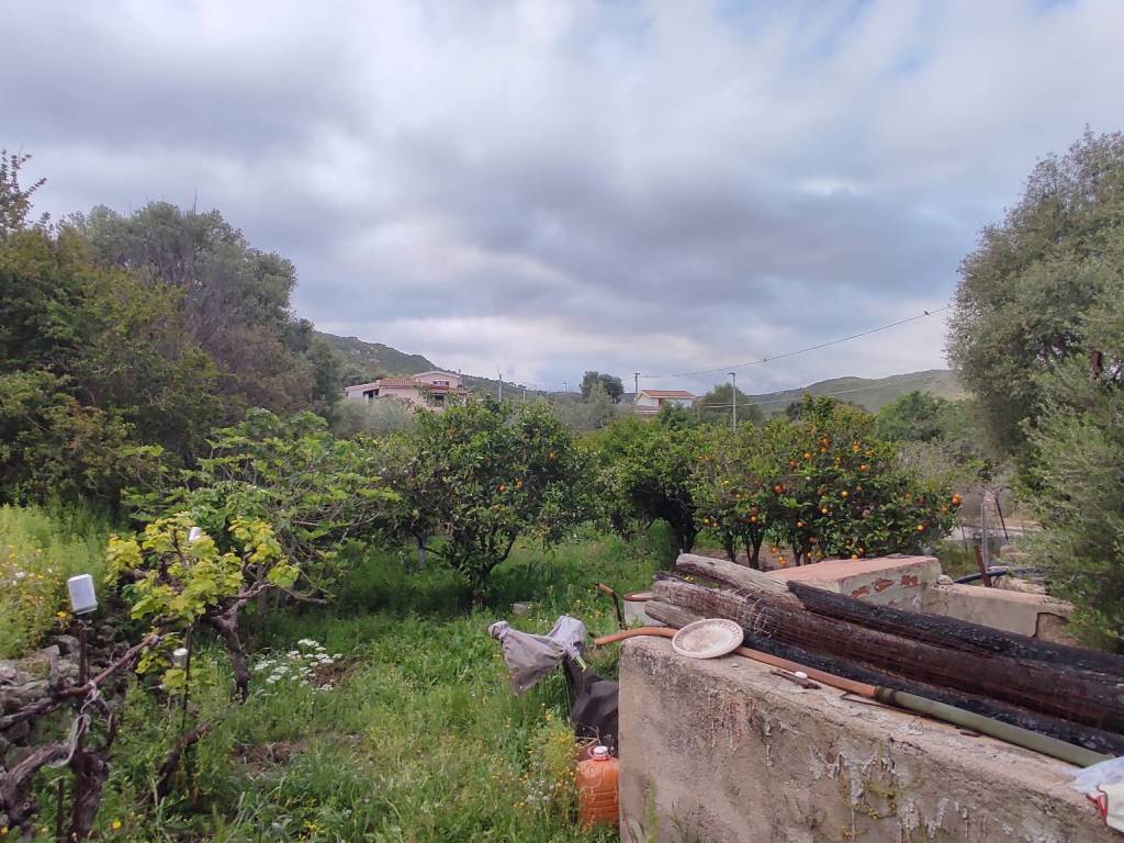 Terreno a Loiri porto san paolo in Montilittu, Loiri Porto San Paolo - Foto 3