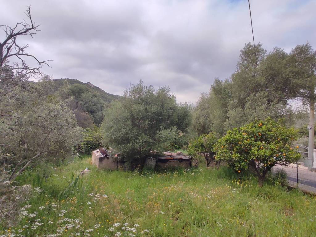 Terreno a Loiri porto san paolo in Montilittu, Loiri Porto San Paolo - Foto 5