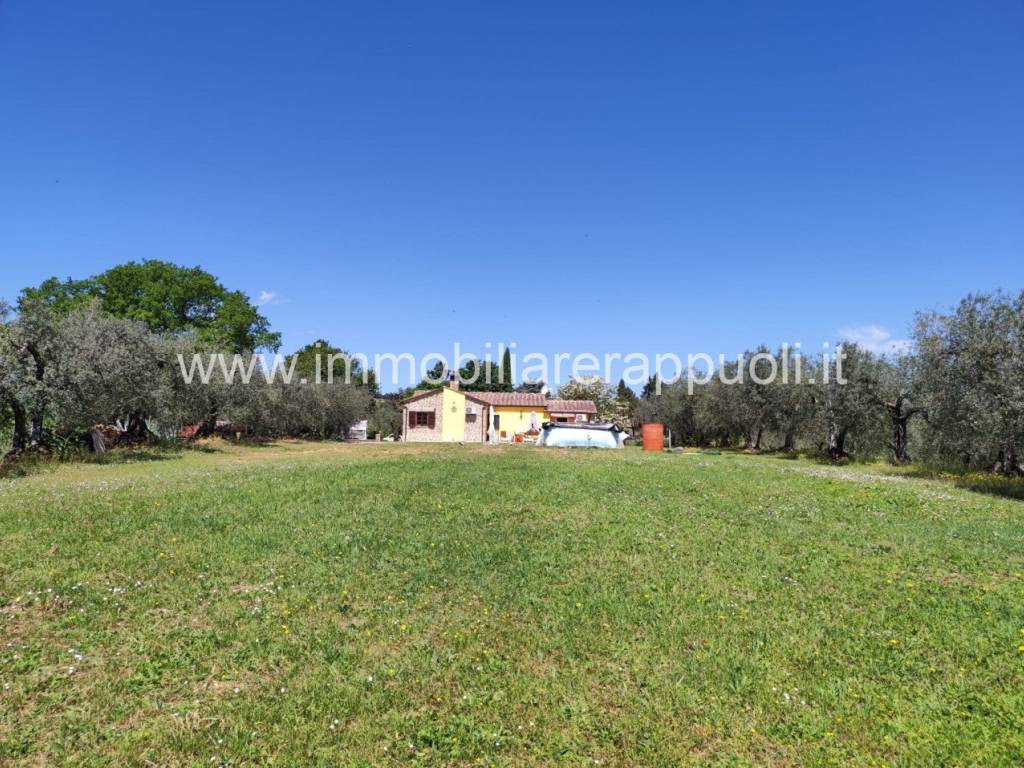 Casa indipendente a Sinalunga - Foto 2