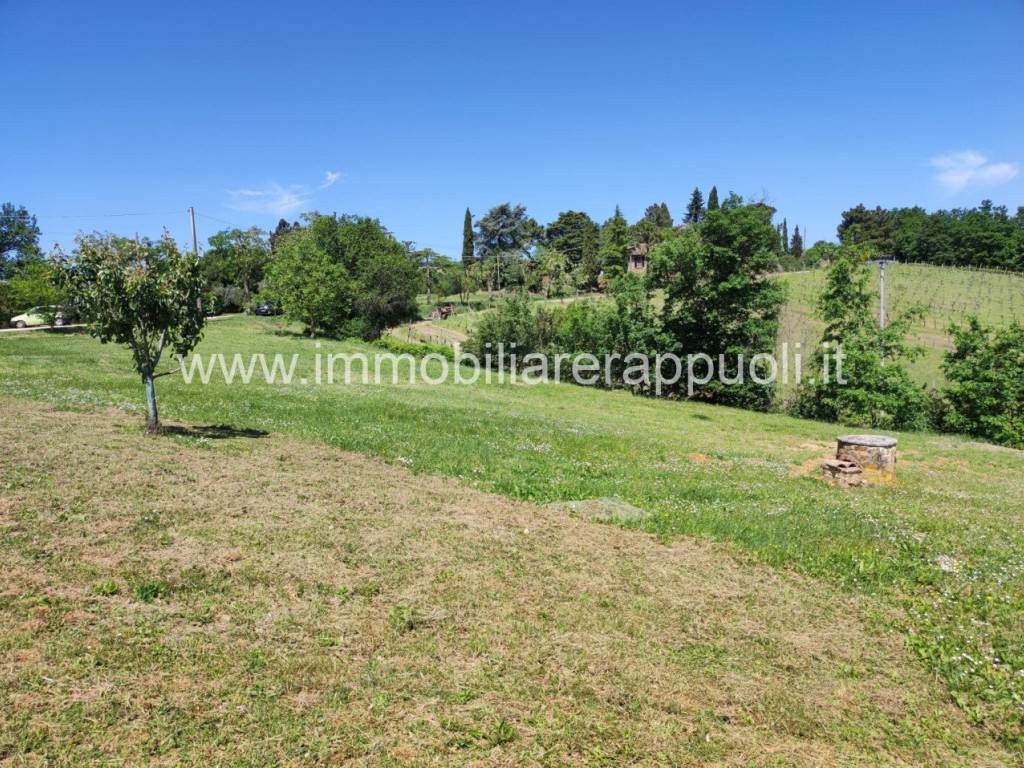 Casa indipendente a Sinalunga - Foto 4