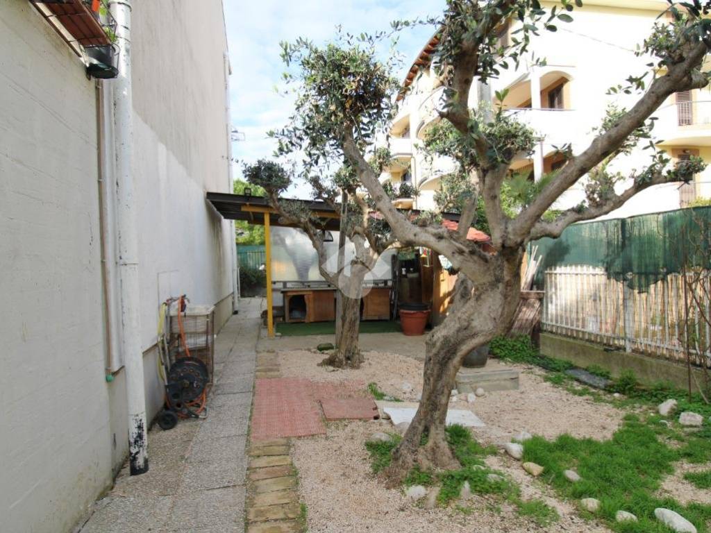 Villetta a schiera a San salvo in VIA ALESSANDRIA, 19 - Foto 5