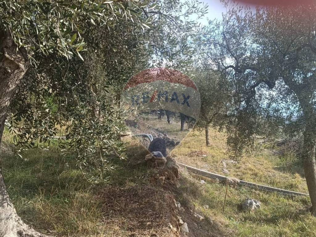 Terreno a Manfredonia in Contr. Ripa di Sasso - Foto 5