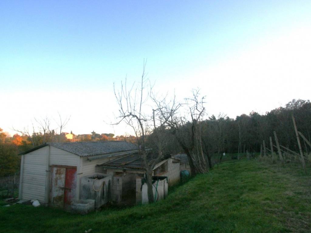 Rustico / casale a Sinalunga - Foto 3