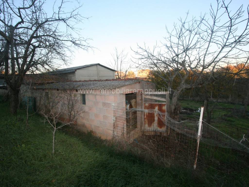 Rustico / casale a Sinalunga - Foto 4