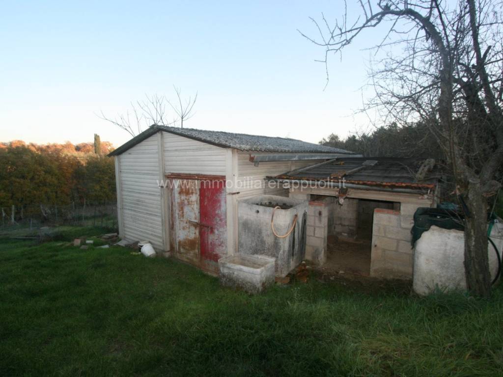 Rustico / casale a Sinalunga - Foto 5