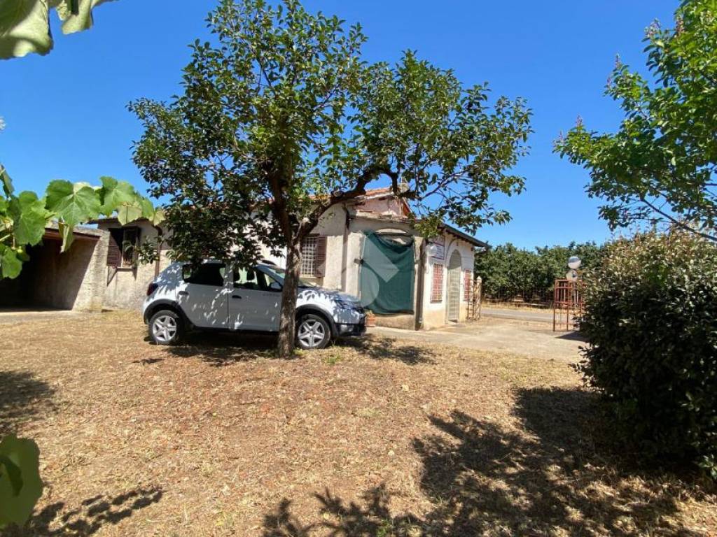 Casa indipendente a Gallese in Str. Corteccoli - Foto 3