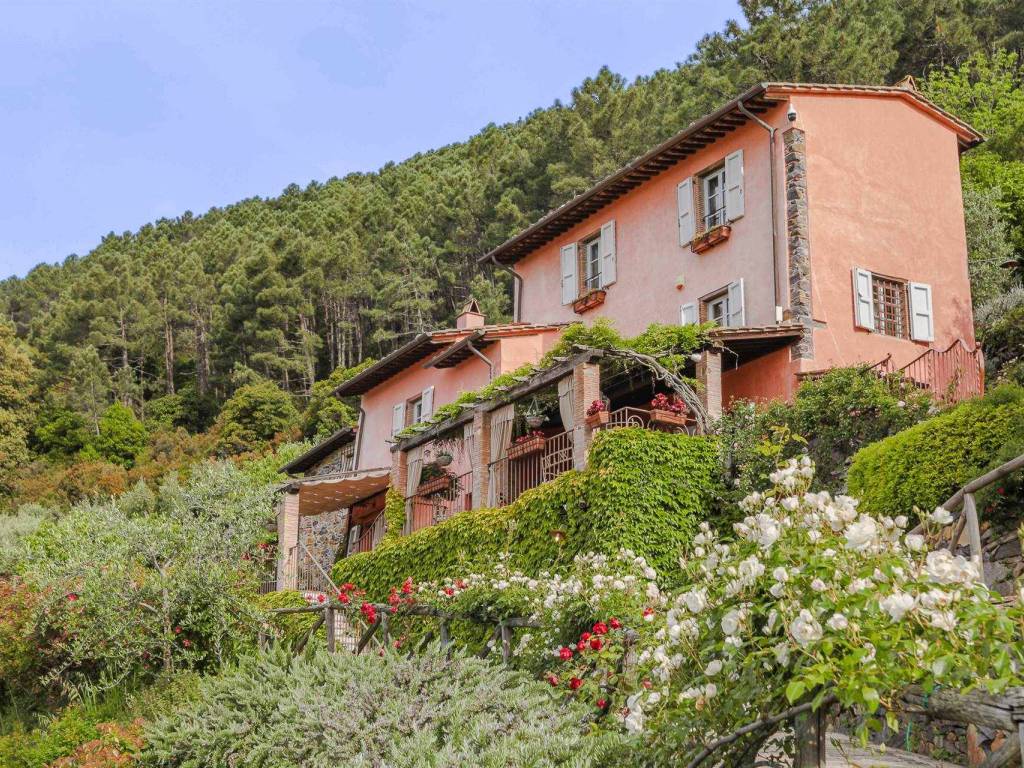 Villa a Buti in , - Foto 2