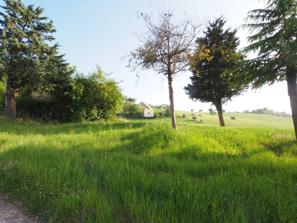 Terreno a Corridonia - Foto 3