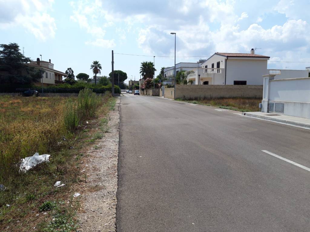 Terreno a Montesano salentino - Foto 5
