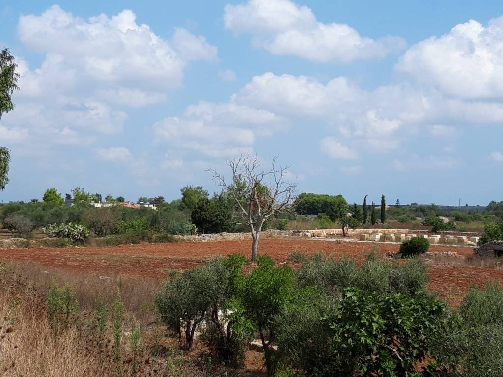 Terreno a Montesano salentino - Foto 2