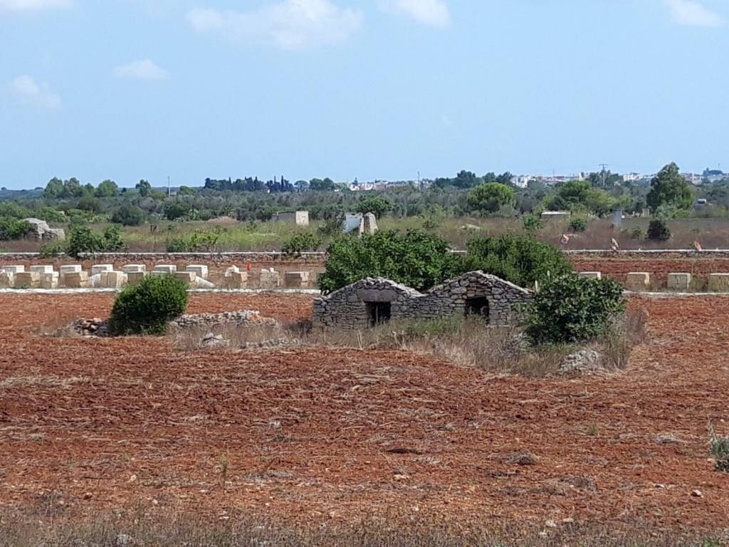Terreno a Montesano salentino - Foto 3