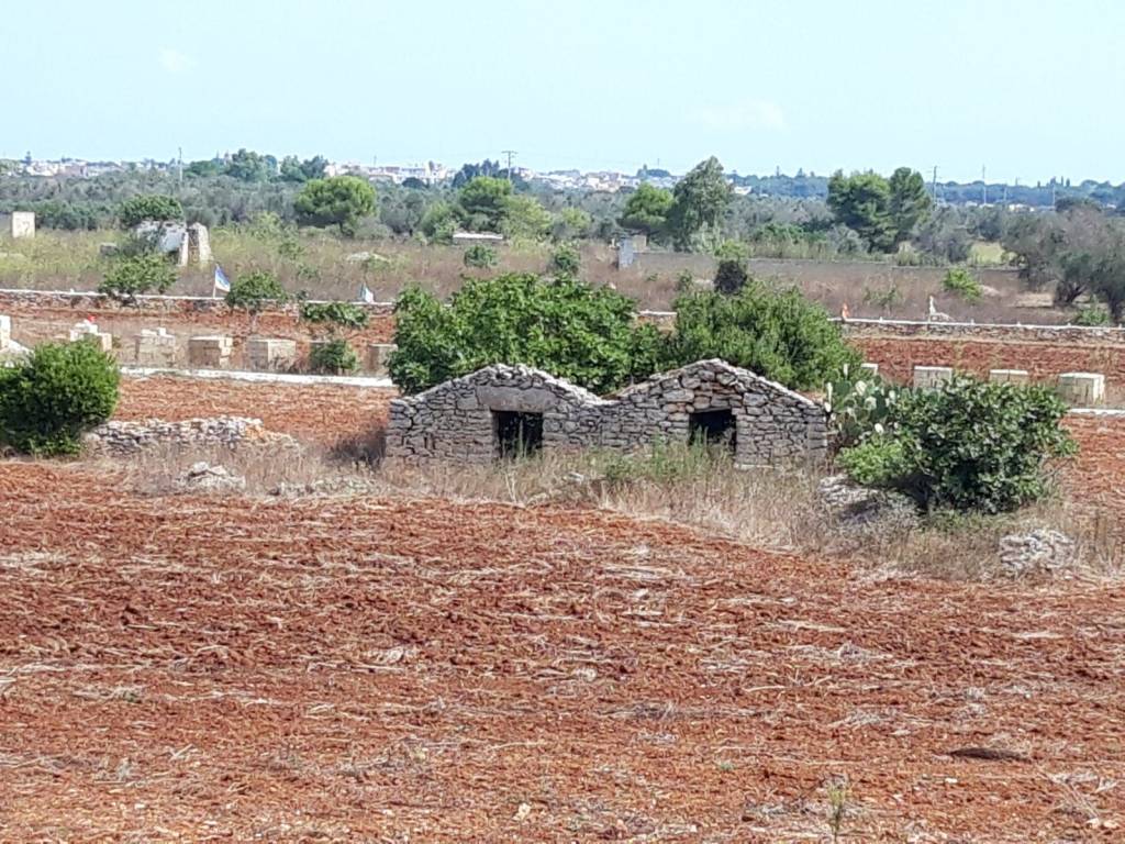 Terreno a Montesano salentino - Foto 4
