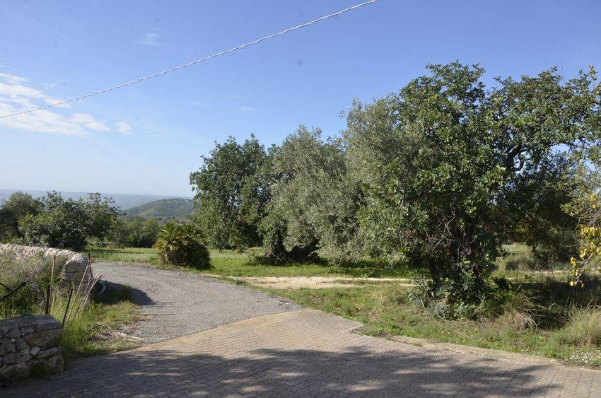 Rustico / casale a Noto in Contrada Busulmone - Foto 2