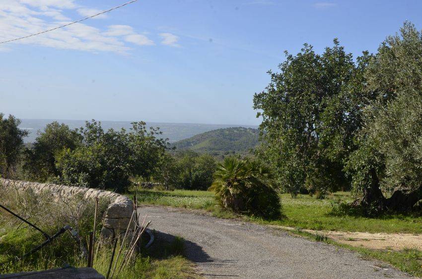 Rustico / casale a Noto in Contrada Busulmone - Foto 3