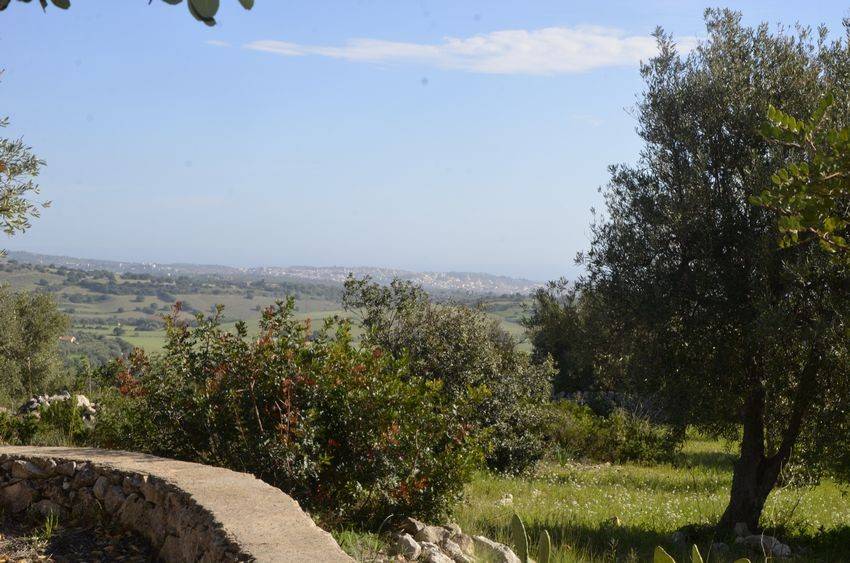 Rustico / casale a Noto in Contrada Busulmone - Foto 4