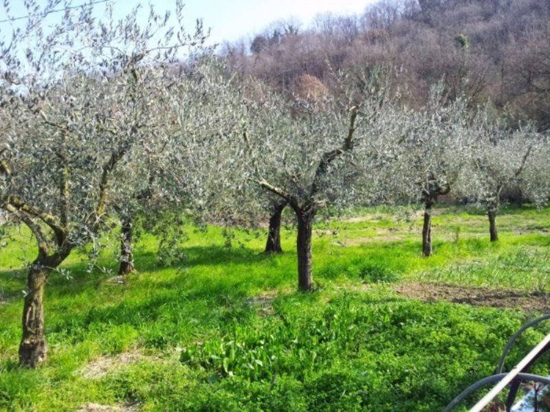 Terreno a Perugia in strada Tiberina Nord - Foto 5
