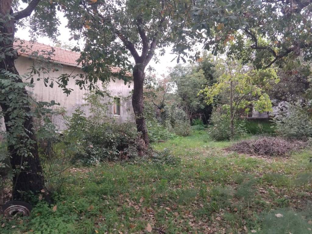 Terreno a Aci sant'antonio in Via Edoardo Pantano - Foto 2