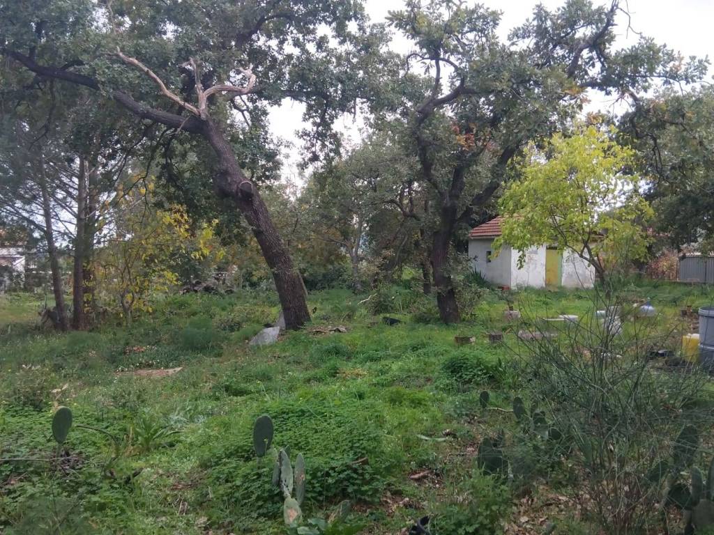 Terreno a Aci sant'antonio in Via Edoardo Pantano - Foto 4