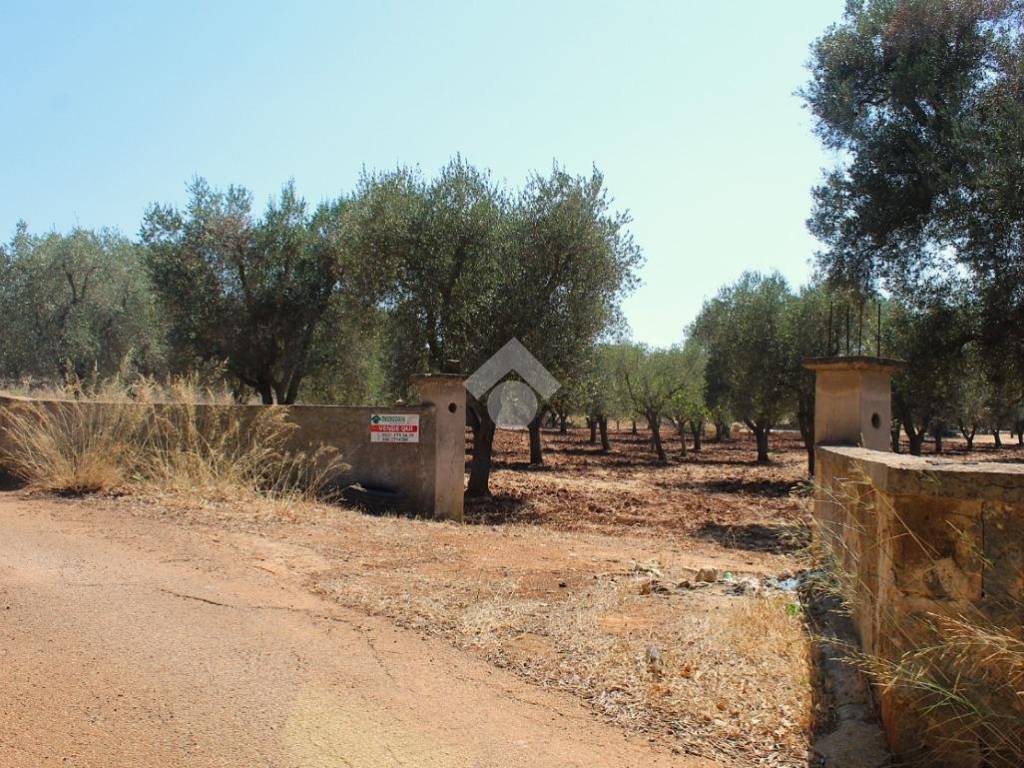 Terreno a Carovigno in Contrada Marcello - Foto 2