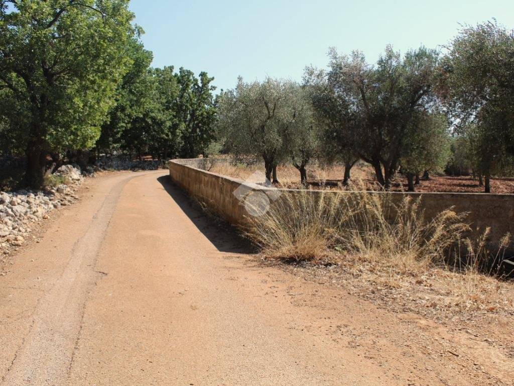 Terreno a Carovigno in Contrada Marcello - Foto 3