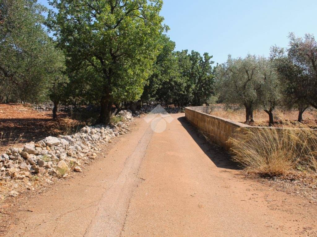 Terreno a Carovigno in Contrada Marcello - Foto 4