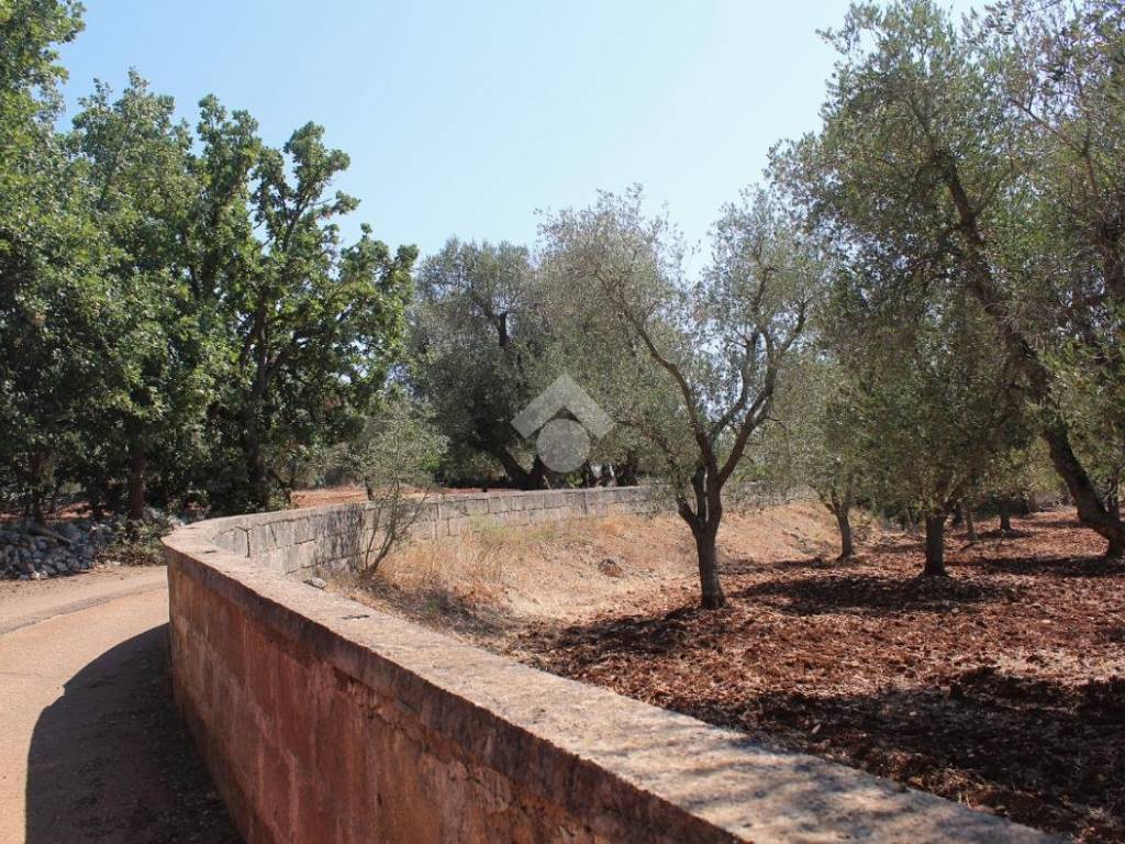 Terreno a Carovigno in Contrada Marcello - Foto 5