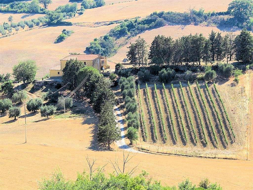 Rustico / casale a Magliano in toscana in Pereta - Foto 3