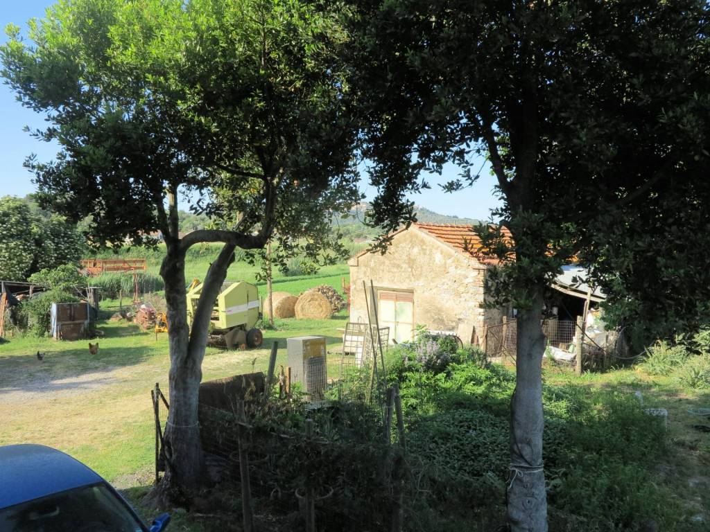 Rustico / casale a Gavorrano - Foto 4