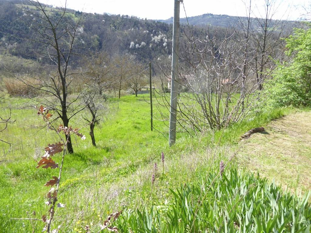 Rustico / casale a Melazzo - Foto 5