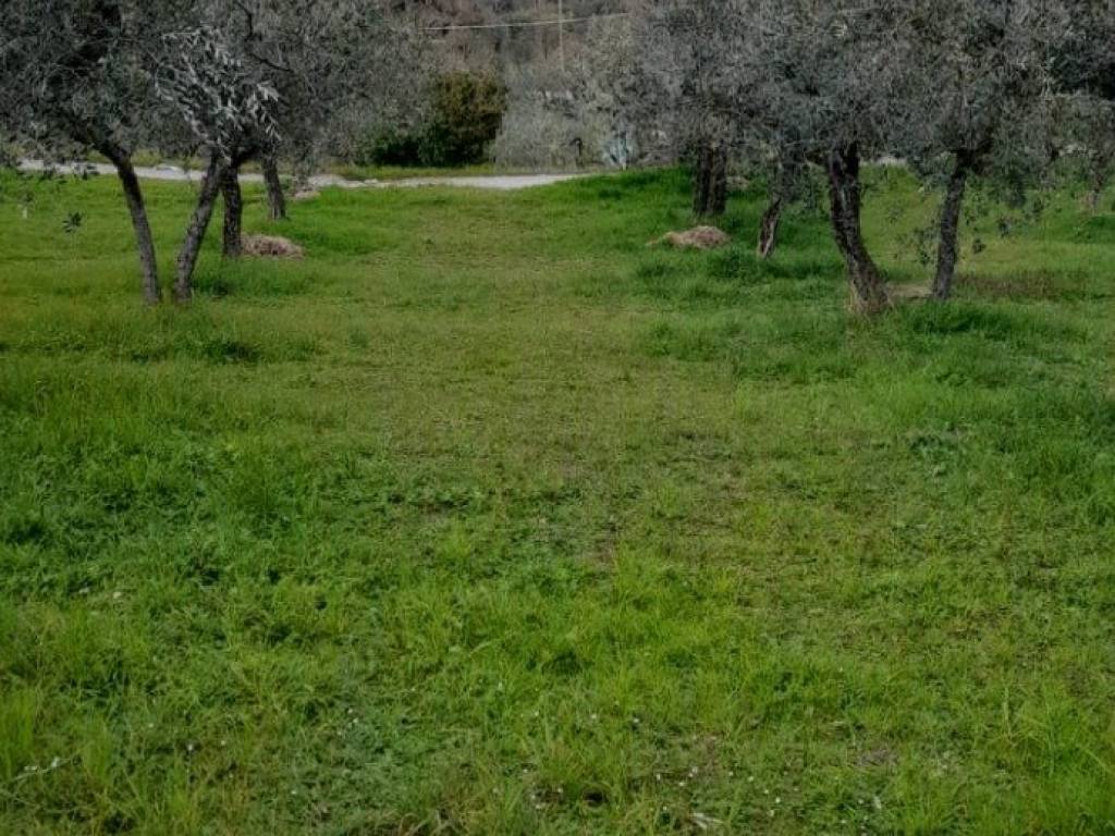 Terreno a Bevagna in Via Limigiano - Foto 2