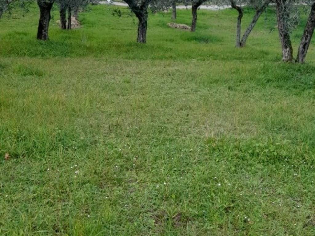 Terreno a Bevagna in Via Limigiano - Foto 3