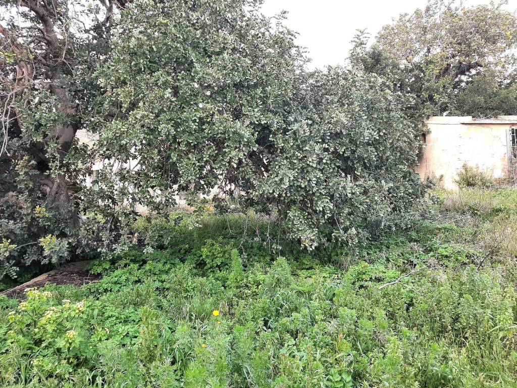 Terreno a Ragusa in SP81 - Foto 5