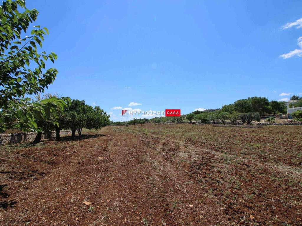 Rustico / casale a Martina franca in Via Ceglie - Foto 5
