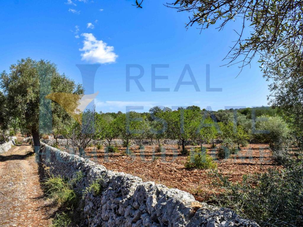 Rustico / casale a Noto in Via Tommaso Fazello, 228 - Foto 4