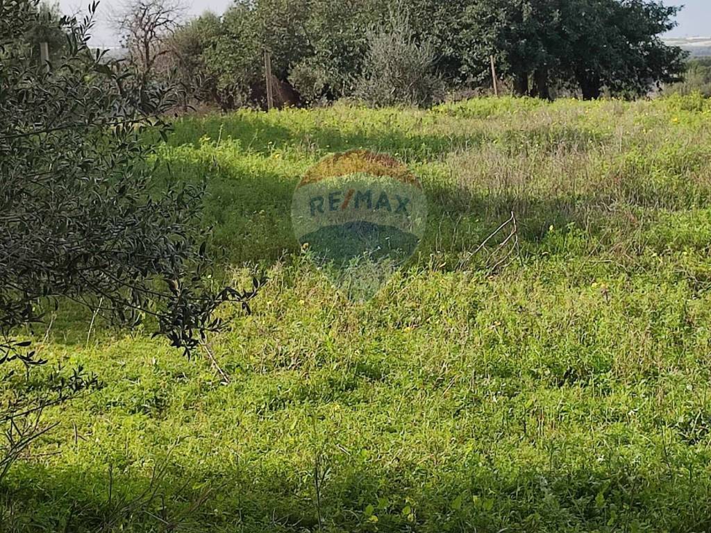 Terreno a Comiso - Foto 4