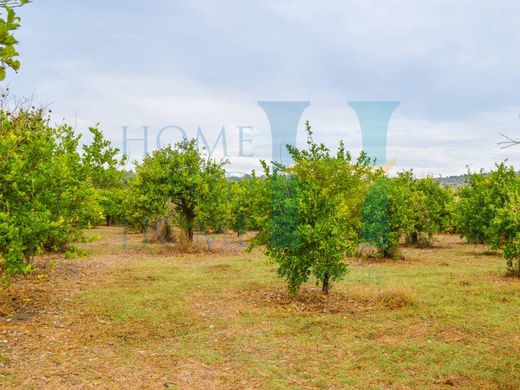 Rustico / casale a Noto - Foto 2